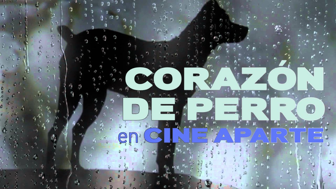 Corazón de perro