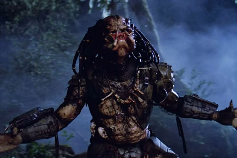 Predator poster